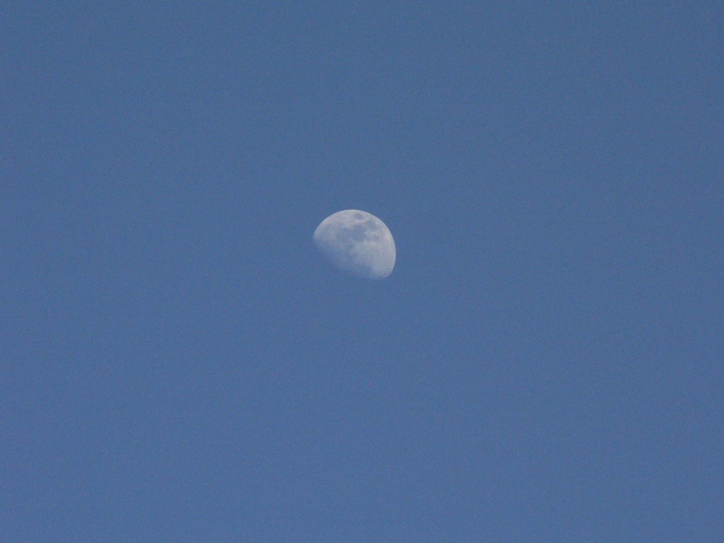 July Devotion – Poem by P Chatelain