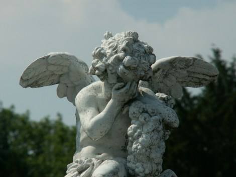 KONICA MINOLTA DIGITAL CAMERA