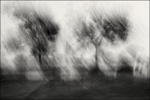 From the "Transience Series," by Siddhartha Tawadey