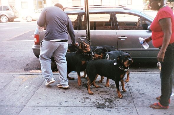 credit: M.Pitter/In Parentheses