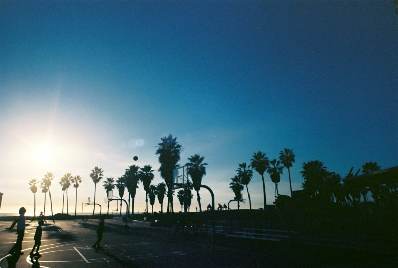 credit: J. Difazio/In Parentheses