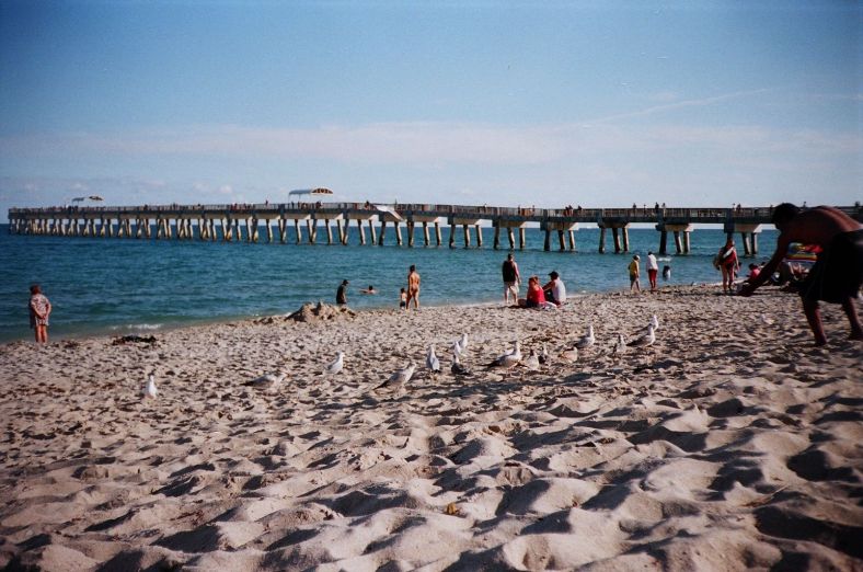 credit: M. Pitter/In Parentheses