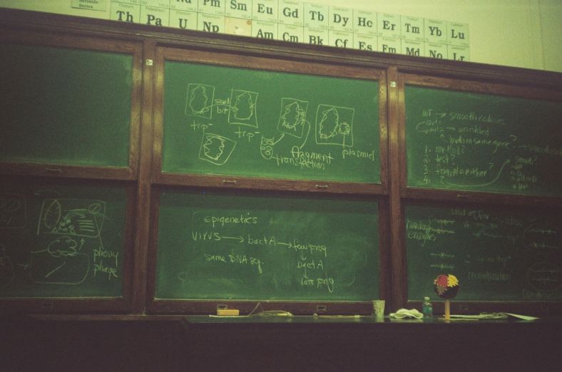 ''Introduction to the Genetics of Viruses.' credit: M. Pitter/In Parentheses