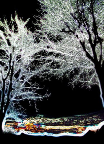 "Magical Winter Night" by Tony Karp