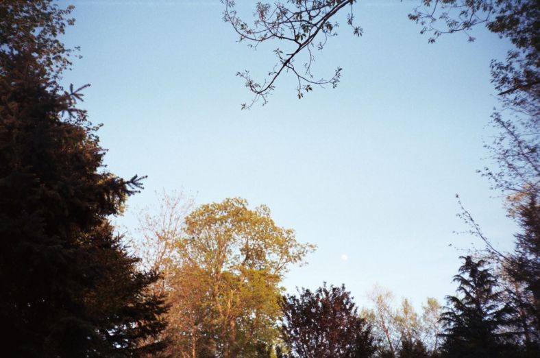 "Breathe". credit: M. Pitter/In Parentheses