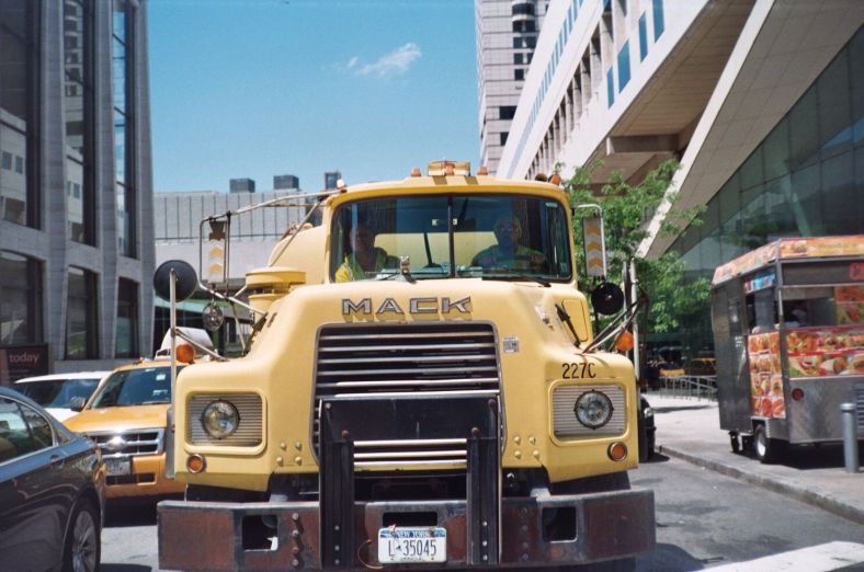 credit: M. Pitter / In Parentheses