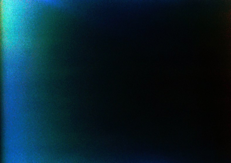 credit: M. Pitter / In Parentheses