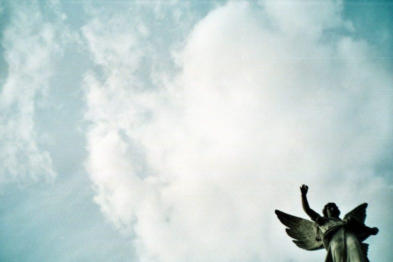 credit: M. Pitter / In Parentheses