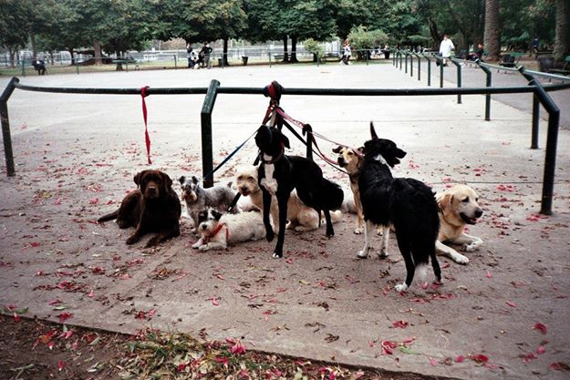 “Inland” and Other Poems by S.&nbsp;Malay