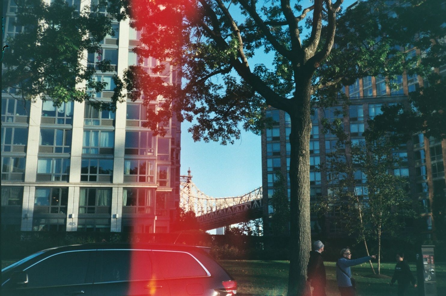 credit: M.Pitter / In Parentheses