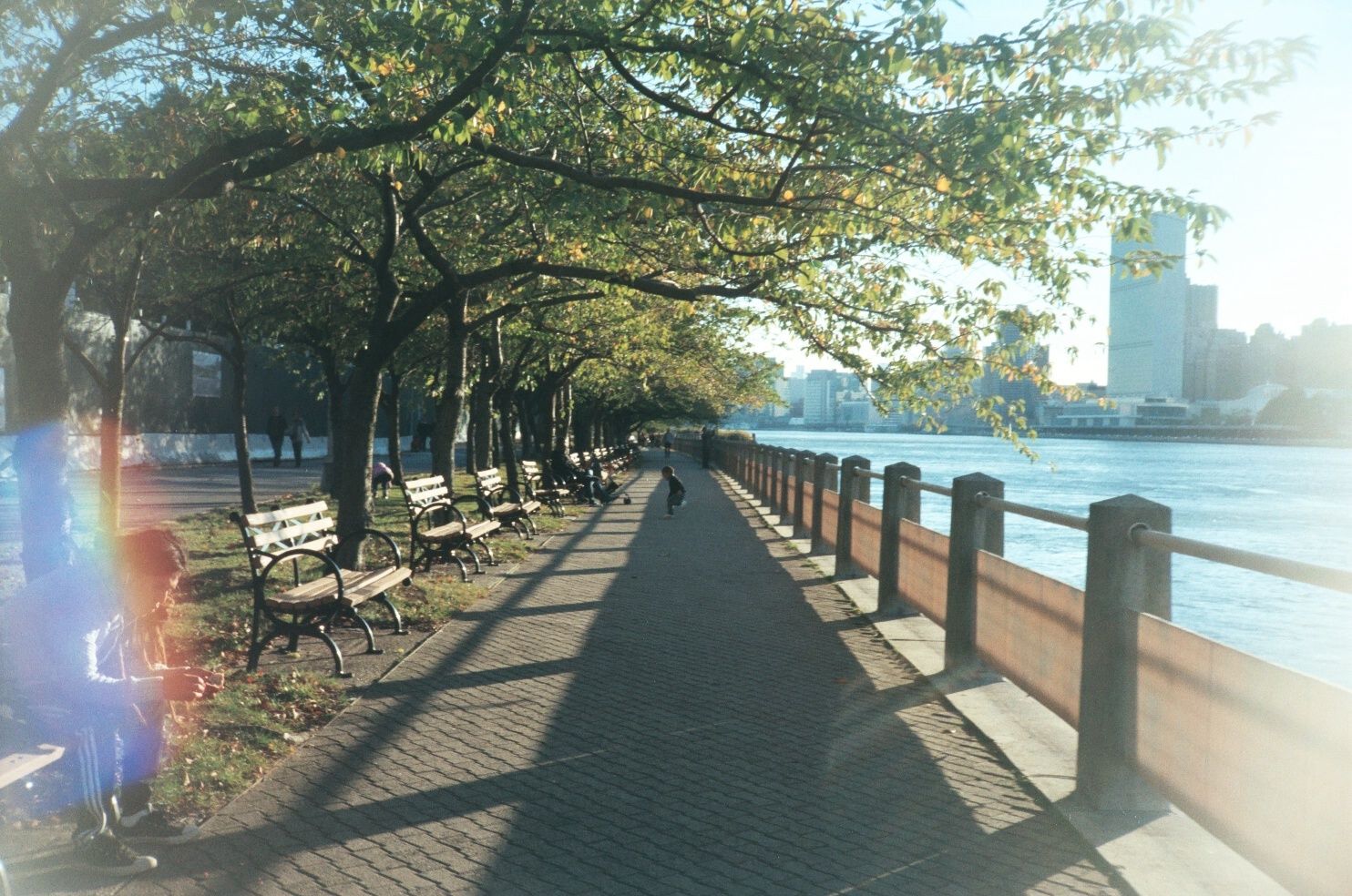 credit: M.Pitter / In Parentheses