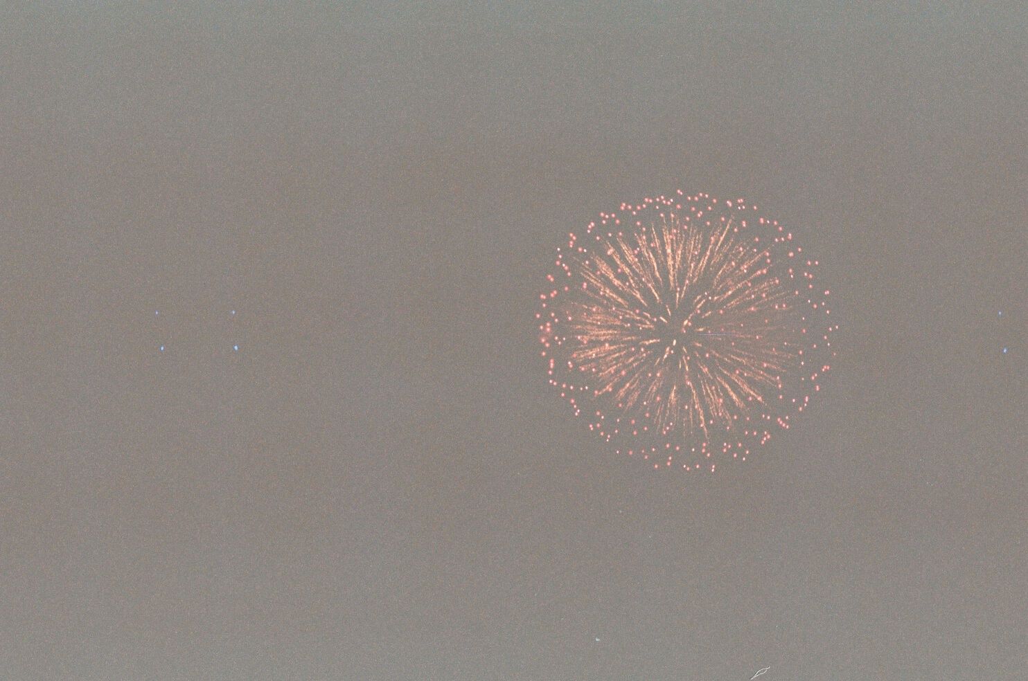 credit: M.Pitter / In Parentheses