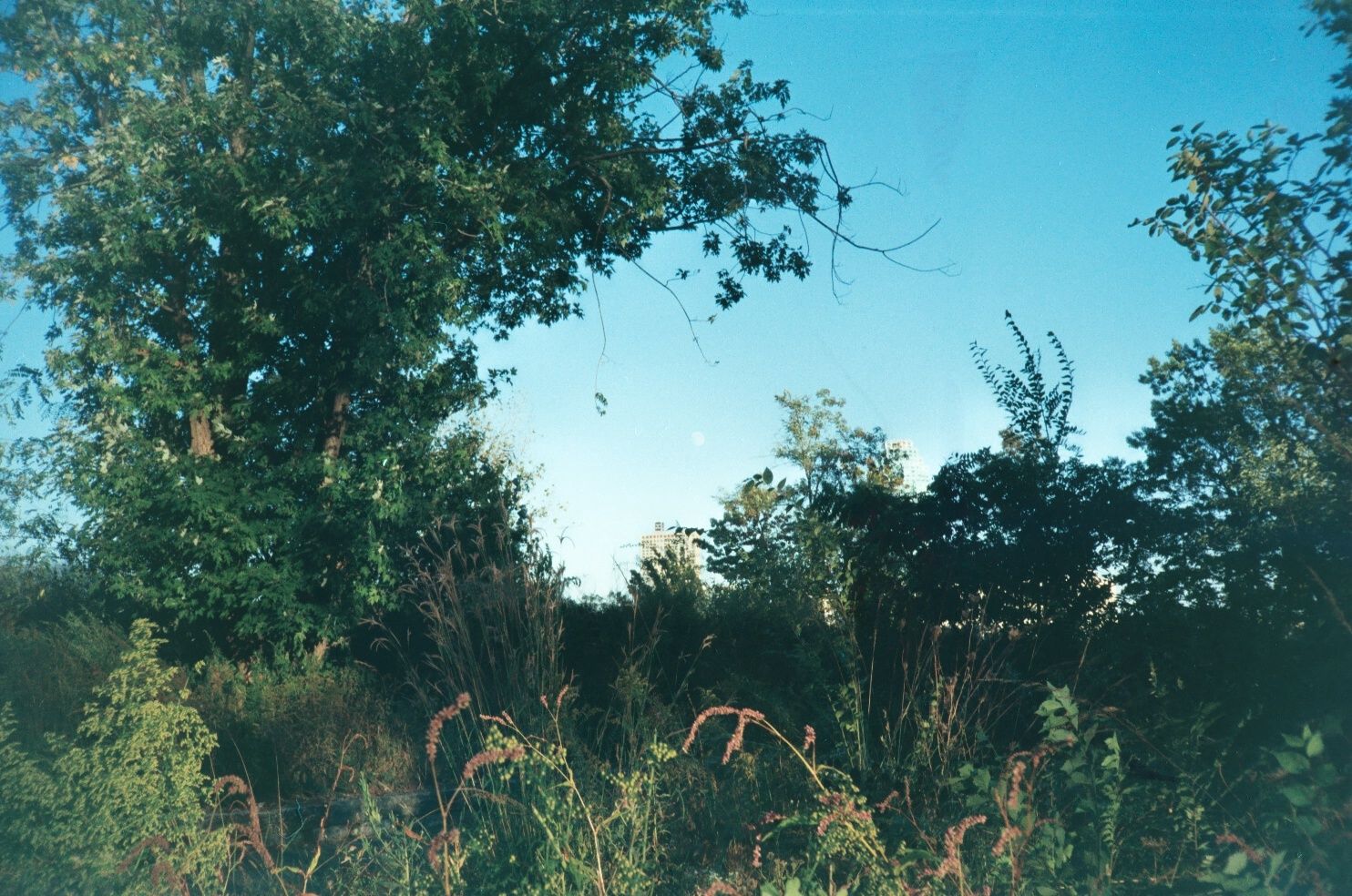 credit: M.Pitter / In Parentheses