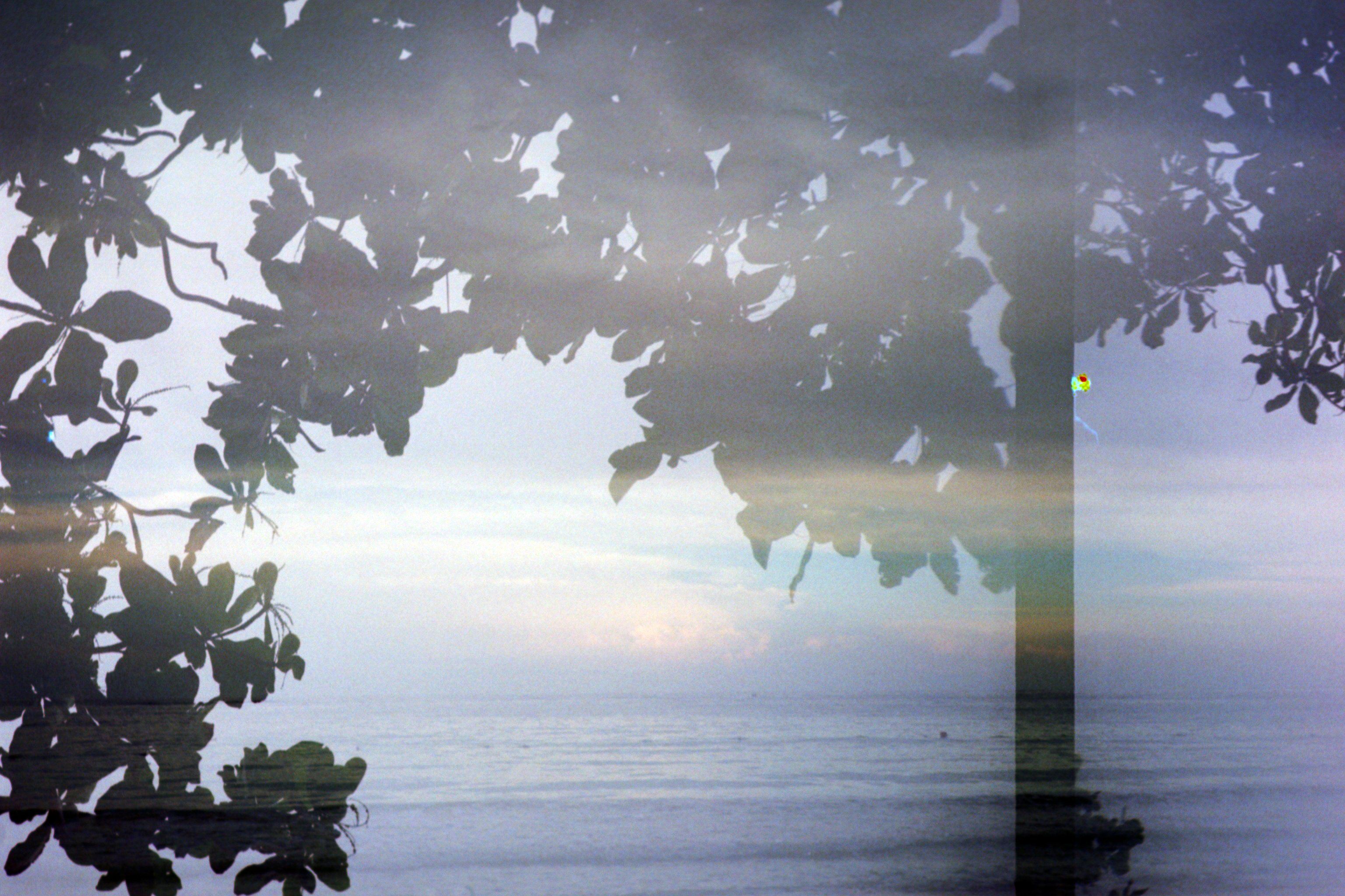 credit: M.Pitter / In Parentheses