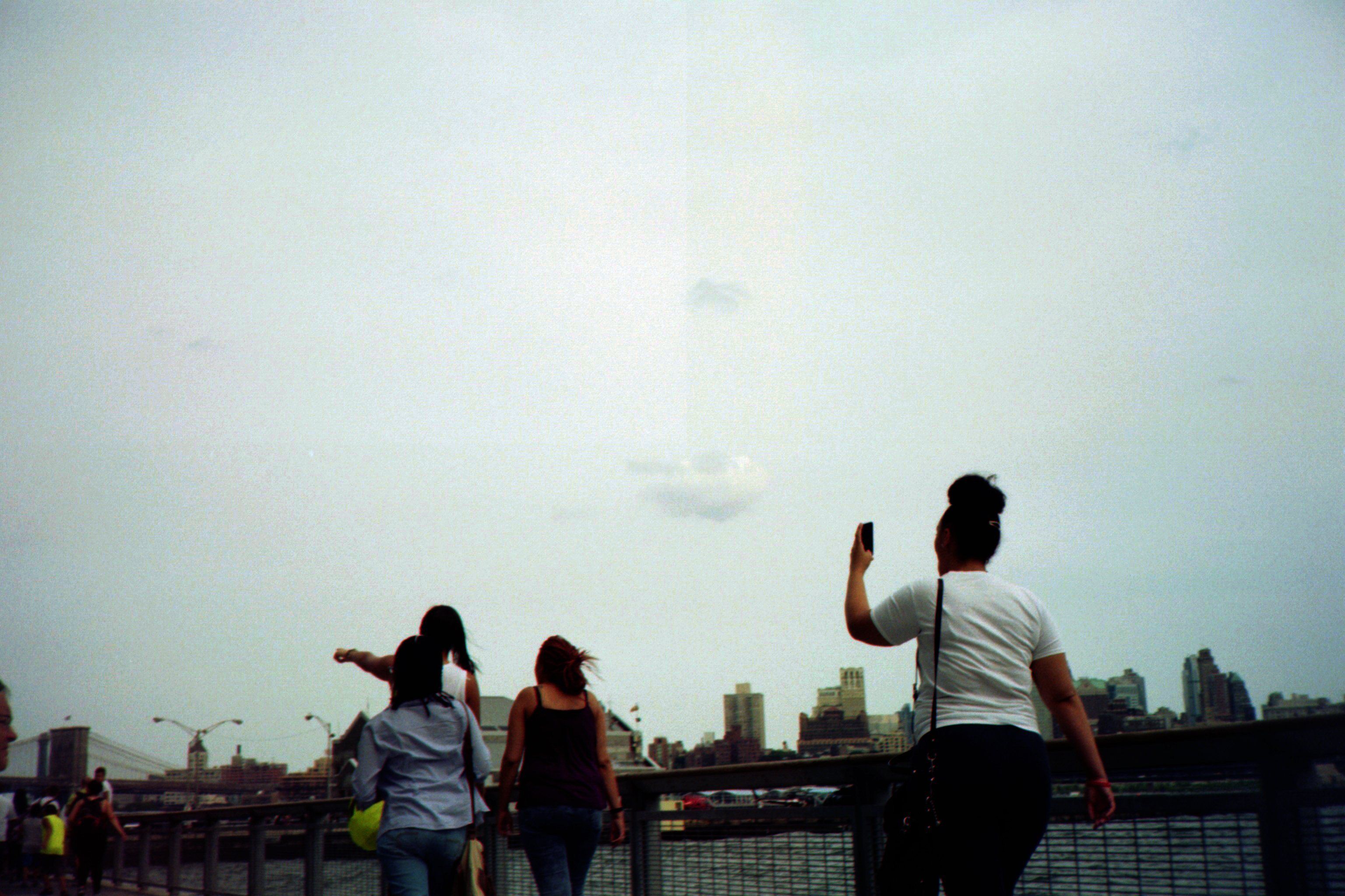 credit: M.Pitter / In Parentheses