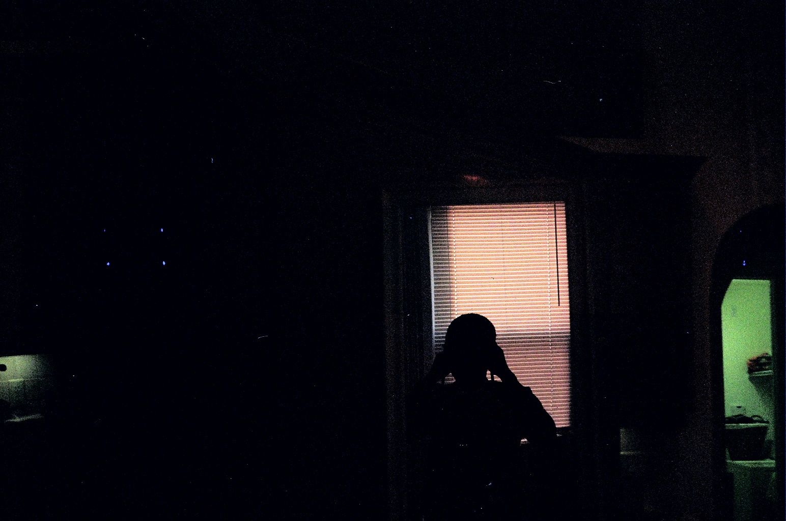 credit: M.Pitter / In Parentheses