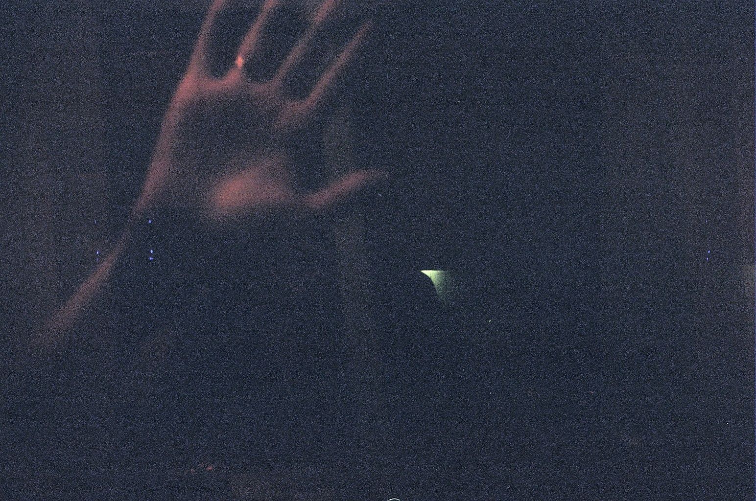 credit: M.Pitter / In Parentheses