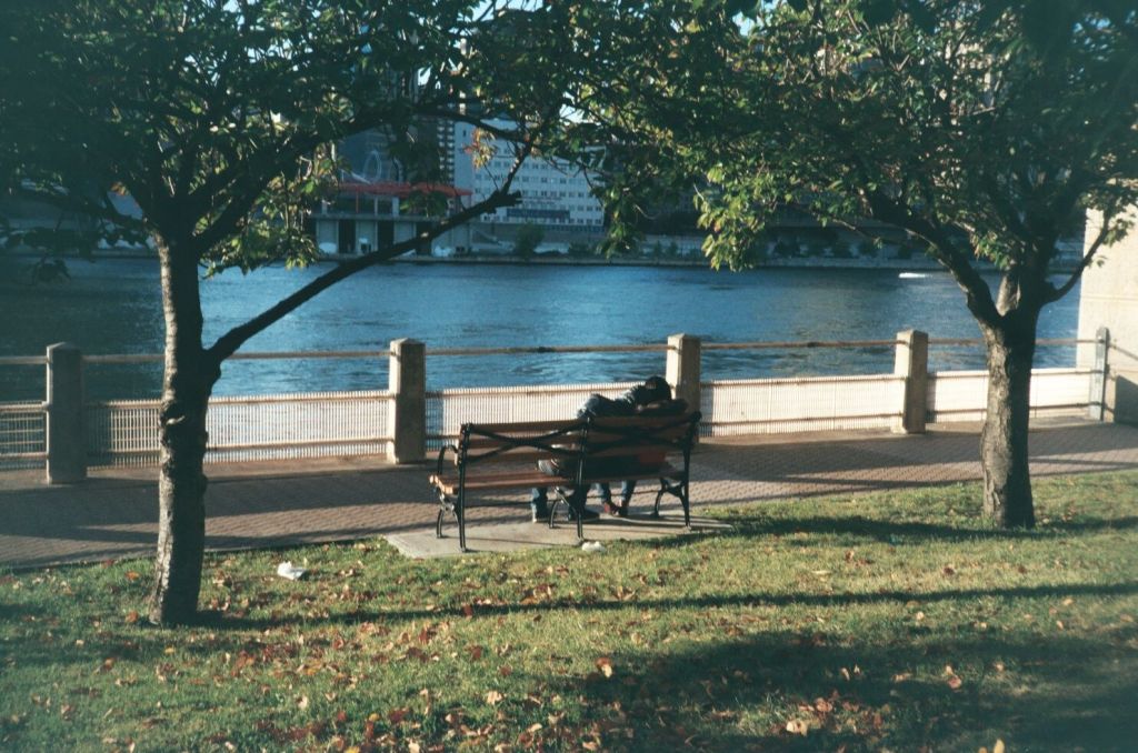 credit: M. Pitter / In Parentheses