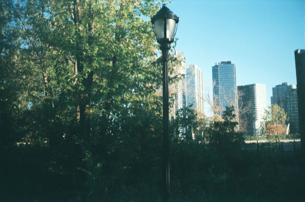 credit: M. Pitter / In Parentheses