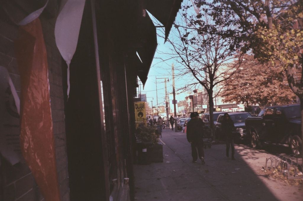 credit: M. Pitter / In Parentheses