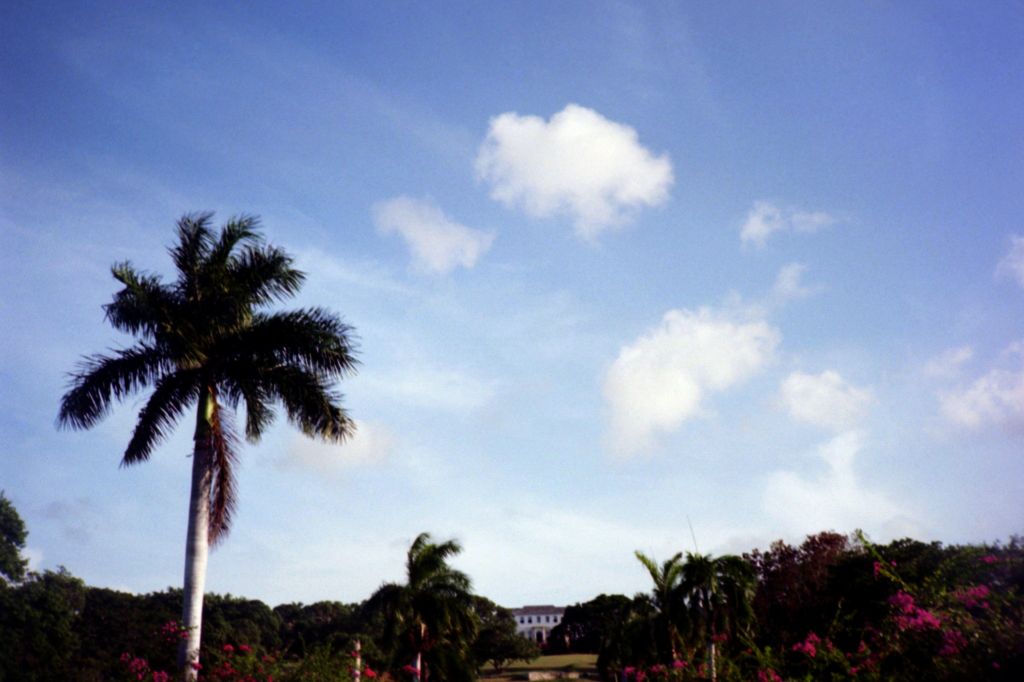 credit: M. Pitter / In Parentheses