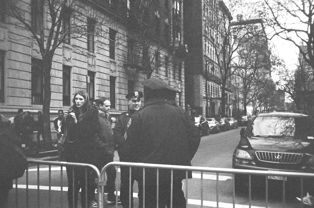 credit: M. Pitter / In Parentheses