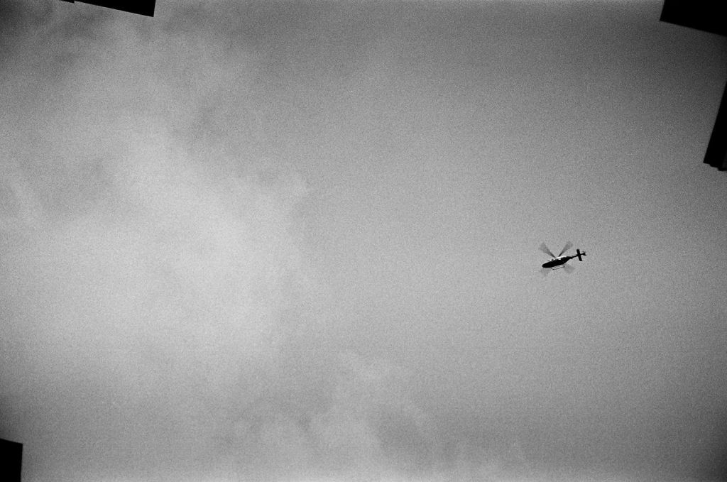 credit: M. Pitter / In Parentheses