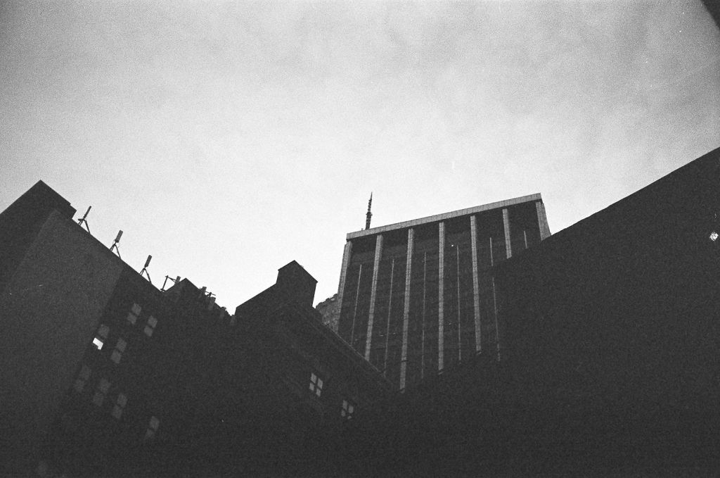 credit: M. Pitter / In Parentheses