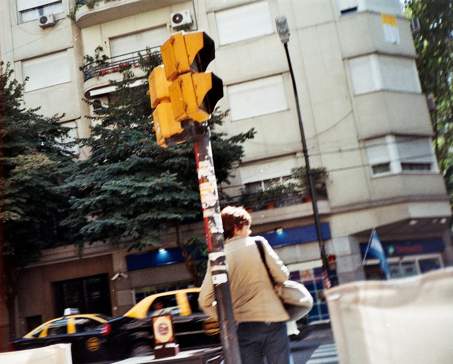 credit: M. Pitter / In Parentheses