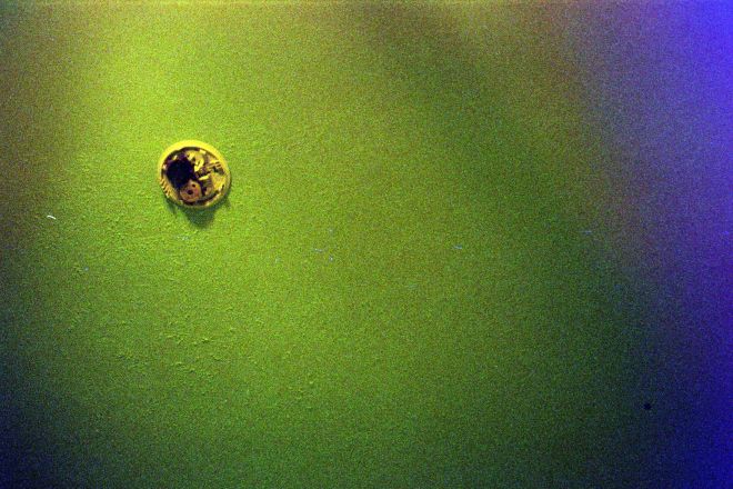 credit: M. Pitter / In Parentheses