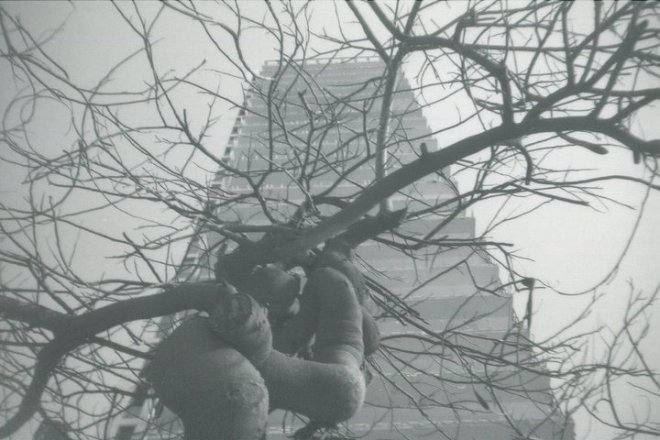 credit: M. Pitter / In Parentheses