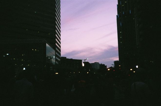 credit: M. Pitter / In Parentheses