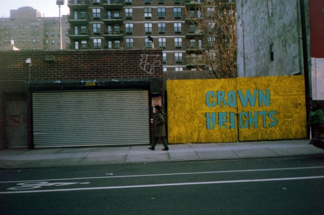 credit: M. Pitter / In Parentheses