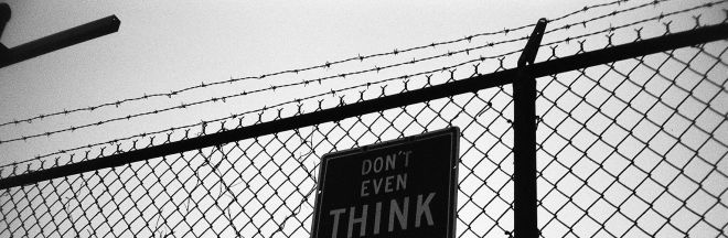 credit: M. Pitter / In Parentheses