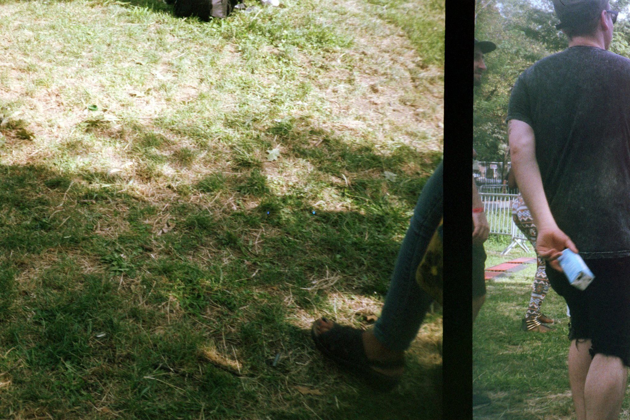 credit: M. Pitter / In Parentheses