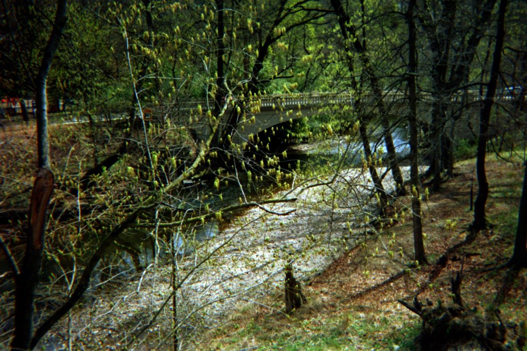 Sleepy Whale (Poems by T.&nbsp;Brinkman)