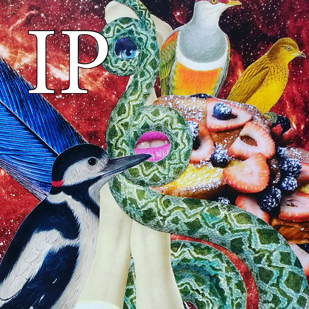 Volume 5 - Summer 2019 Issue 1 of In Parentheses Literary Magazine / P. Nitsche