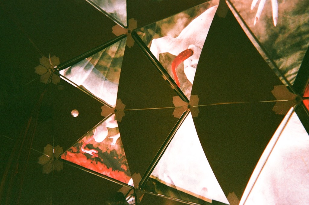 001-burning-man-disposable-phillipe-martin-chatelain-in-parentheses-literary-magazine-volume5