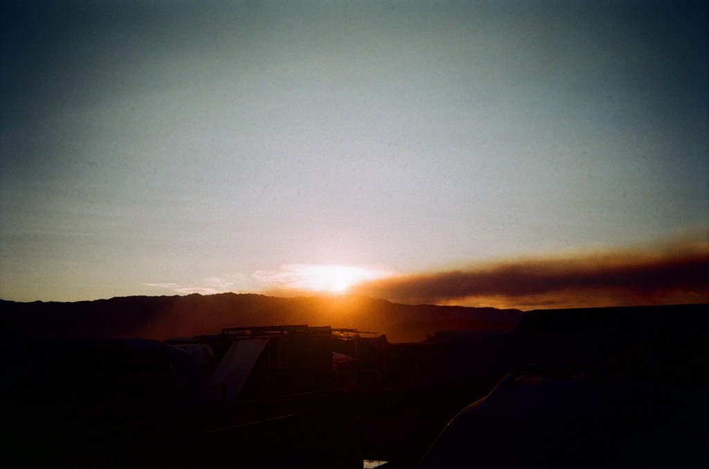 Taxonomic Vignettes by A. Cohen (Review by P.&nbsp;Deka)