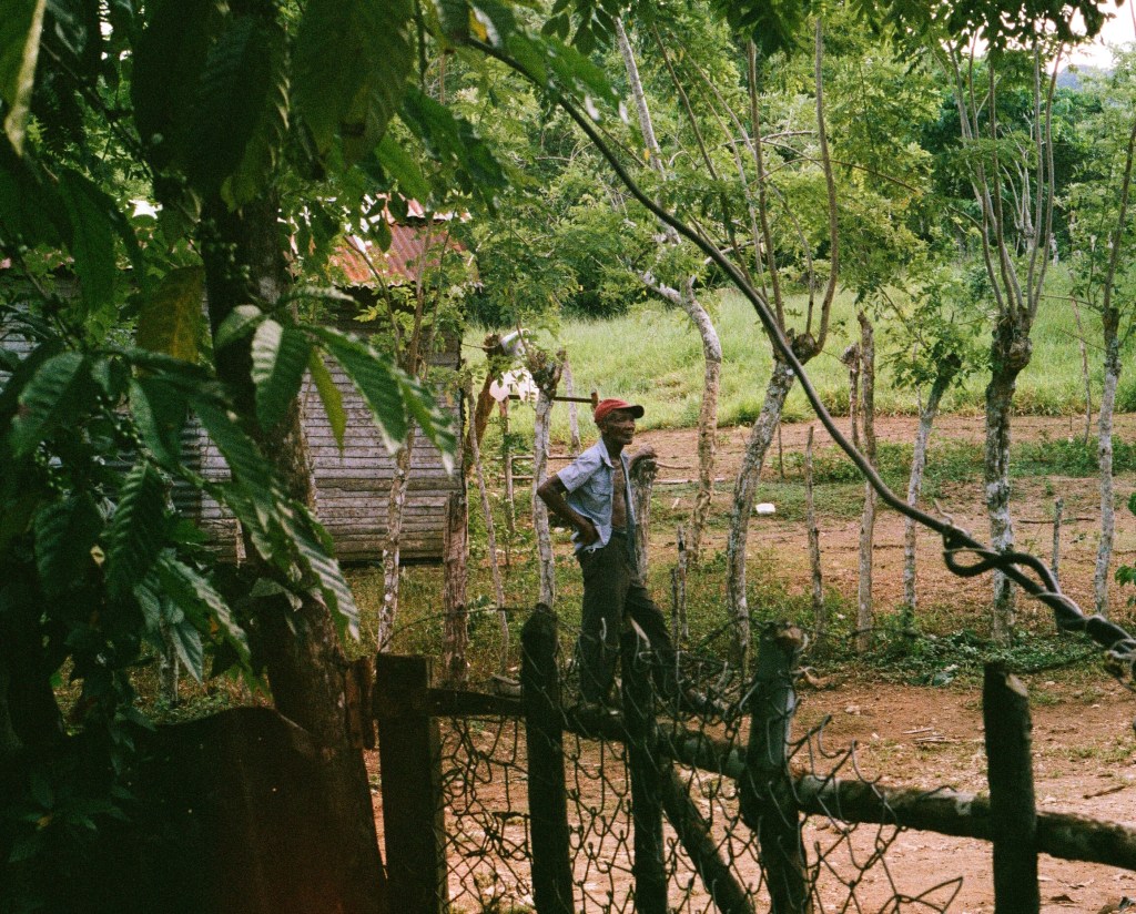 cosecha by carla sofia @sunshine.yellow_ / volume 5 / in parentheses / spring 2020