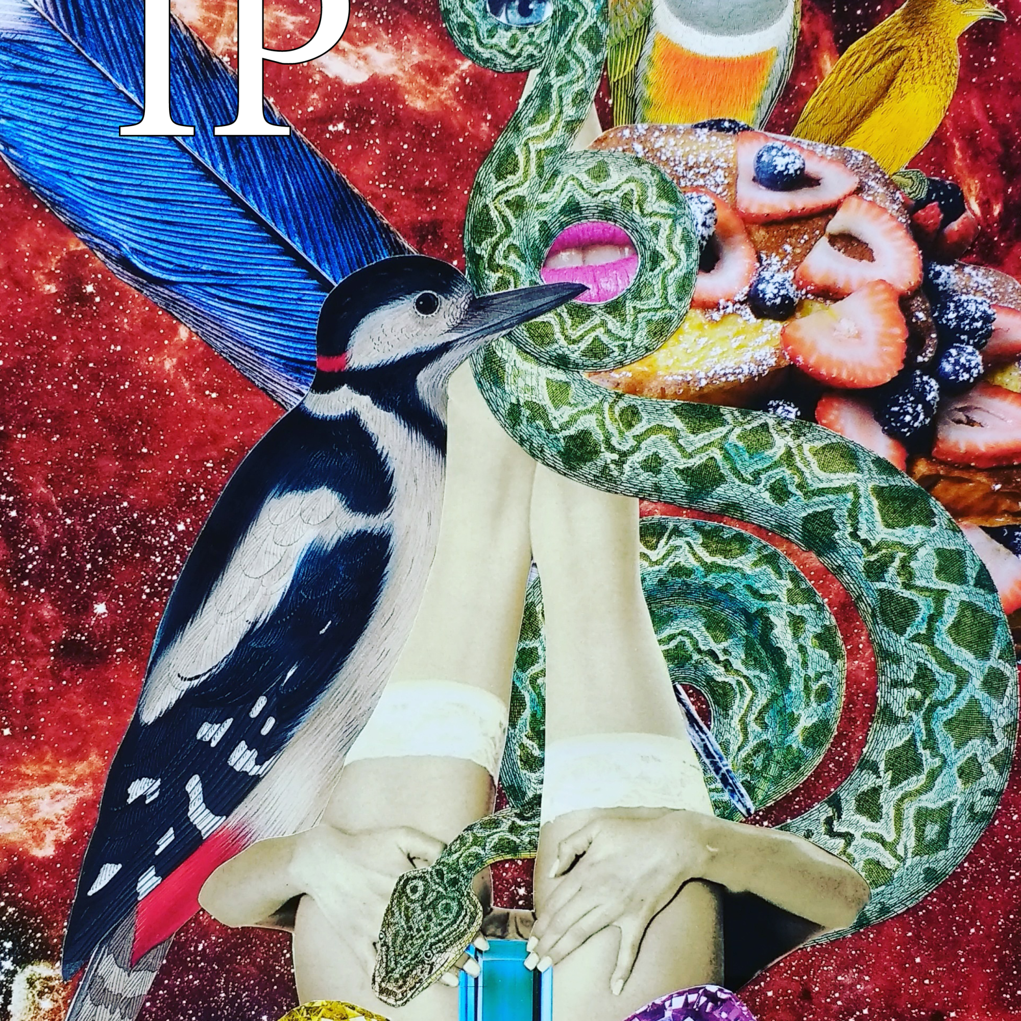 In Parentheses Literary Magazine / Volume 5 / Issue 1 / Cover Art