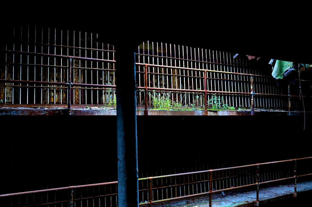 time heals-kiwana s-filthylogic-in parentheses-spring 2020-crowds edition-volume 5