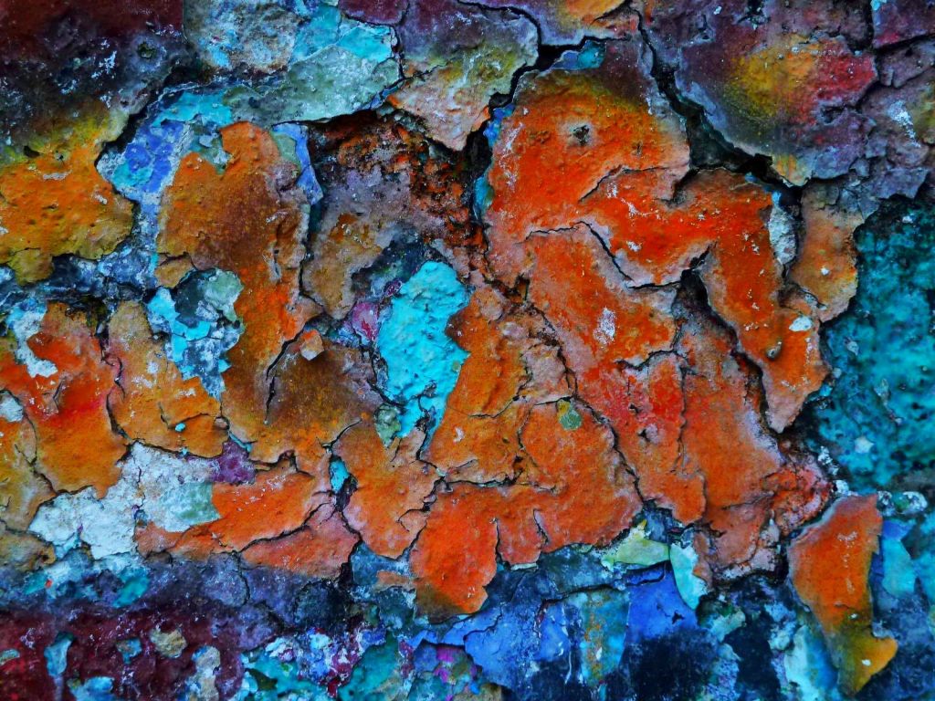 imaginary map / fabio sassi / in parentheses / volume 6