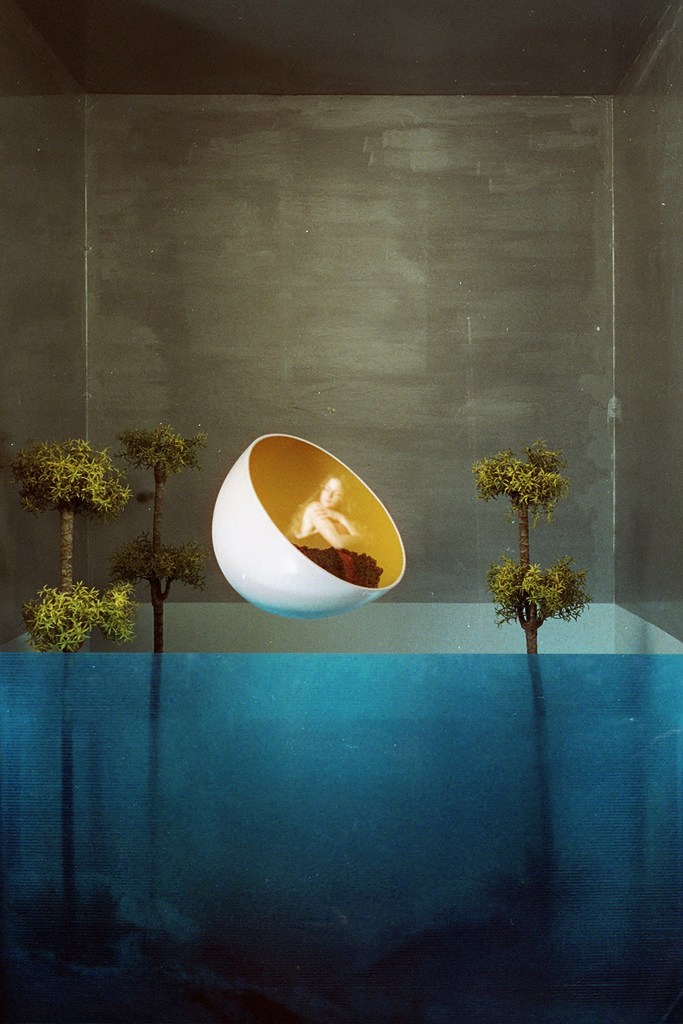 Agave-Francesca Floris-In Parentheses Literary Magazine-Issue 1 Volume 6-Multimedia