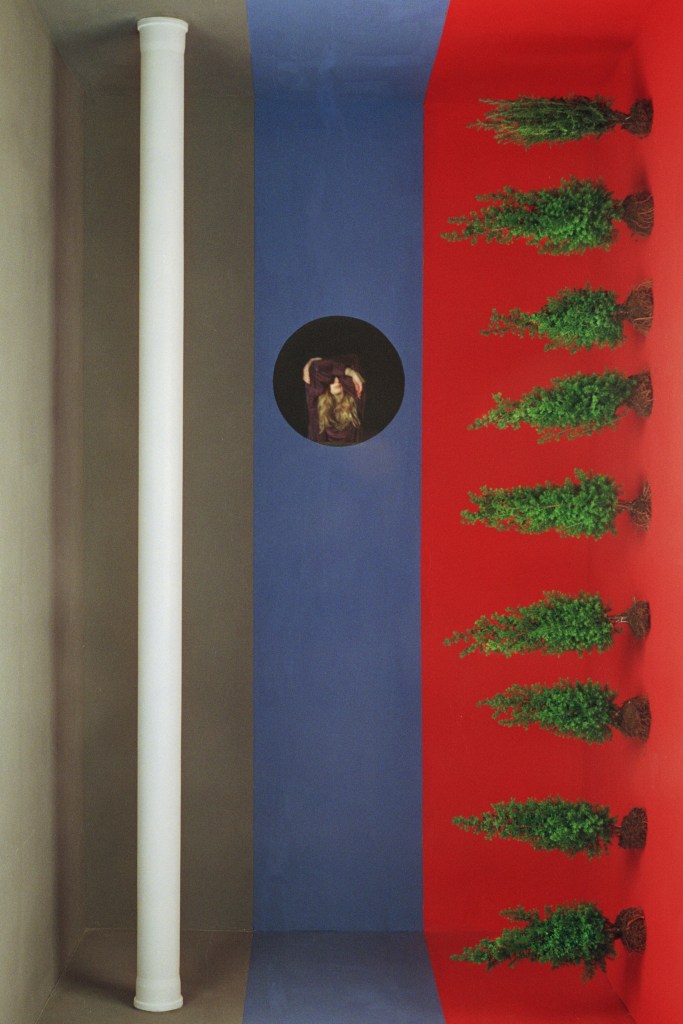 Limes-Francesca Floris-In Parentheses Literary Magazine-Issue 1 Volume 6-Multimedia