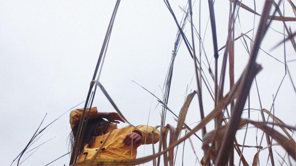 From "Up in the Air" by Margaret Wiss / In Parentheses Literary Magazine / Fall 2020 / Volume 6 Issue 2