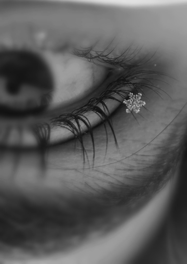 Right eye perched upon a snowflake / Bartosz Mazur / VS Rakenduvadhana / In Parentheses Literary Magazine / Spring 2021Right eye perched upon a snowflake / Bartosz Mazur / VS Rakenduvadhana / In Parentheses Literary Magazine / Spring 2021
