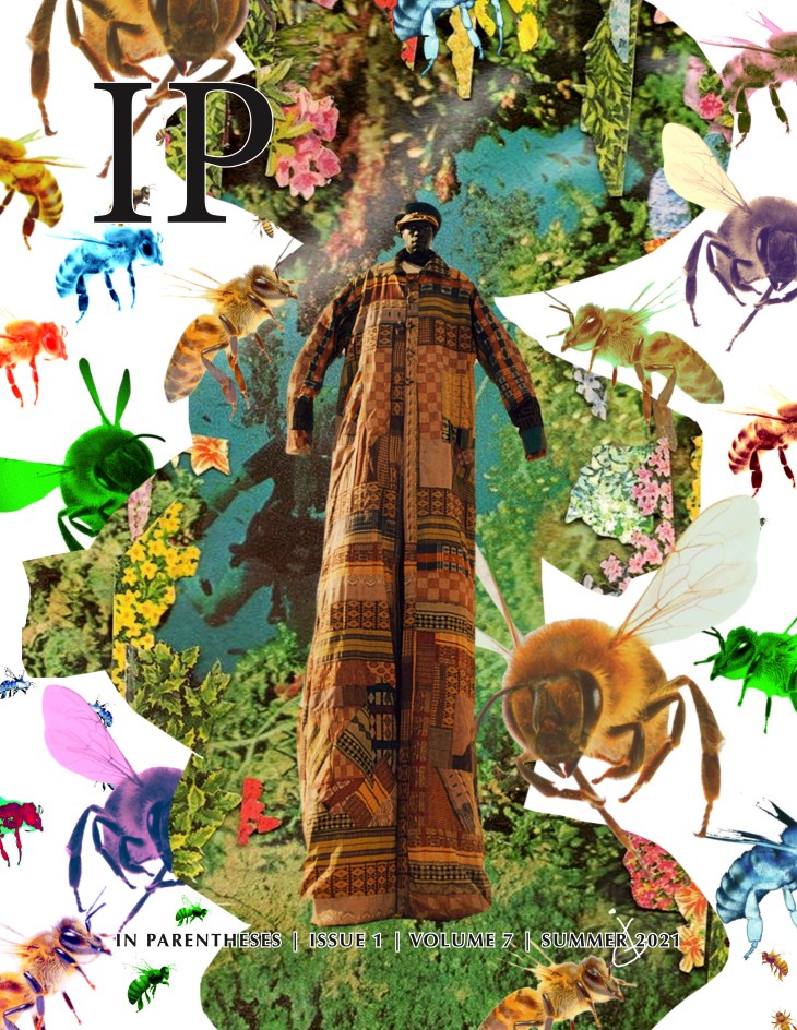 In Parentheses Literary Magazine / Semana de Moda / Igor Aquino or Marble Astronaut / Volume 7, Issue 1