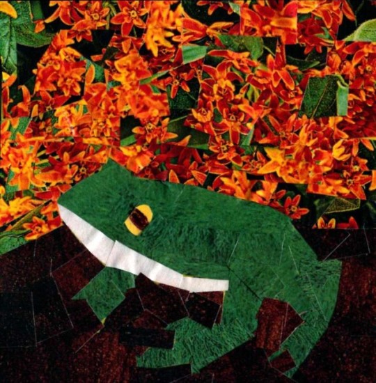 Frog in Orange - Jennifer Frederick / In Parentheses Literary Magazine / Volume 7 Issue 1 / Summer 2021