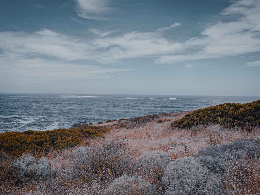 “They Can’t Hang Us All” by E.&nbsp;Wells